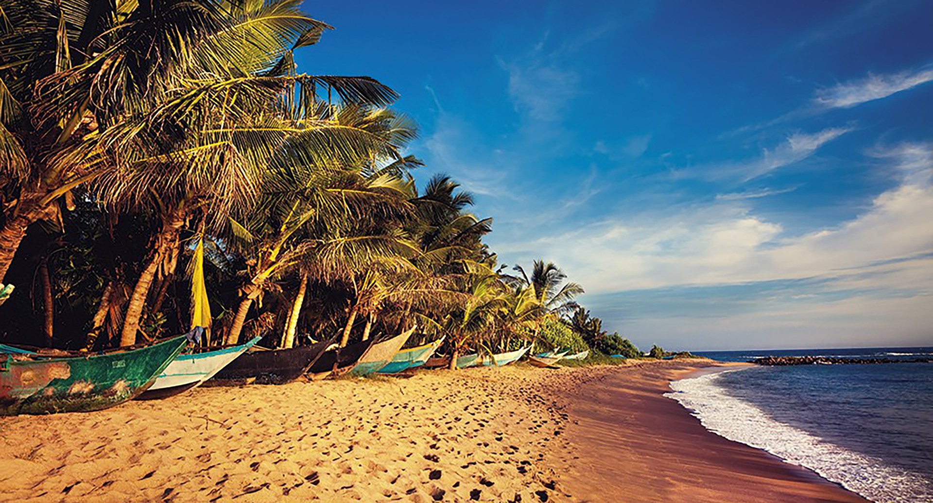 Charm of Sri Lanka Tour  7 Nights - 8 Days