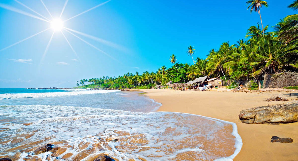 Splendid Sri Lanka with Beach Stay Tour  10 Nights - 11 Days