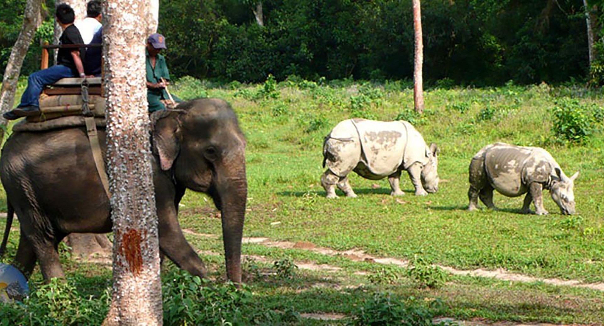 Culture with Wildlife of Nepal - 09 Nights - 10 Days