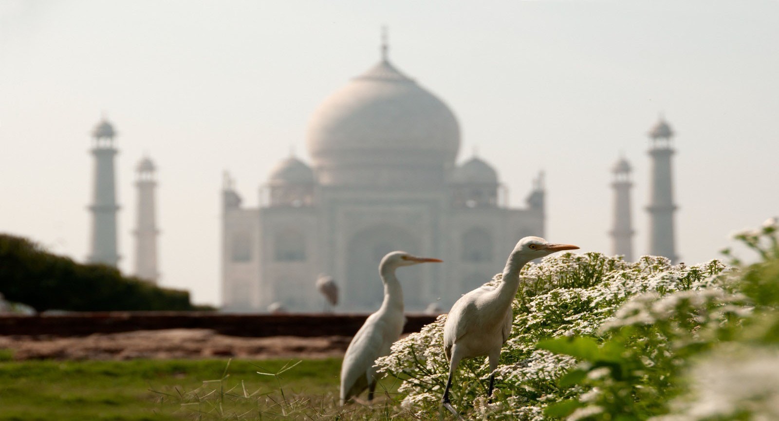 Golden Triangle AGRA – JAIPUR - DELHI - 3 Nights / 4Days