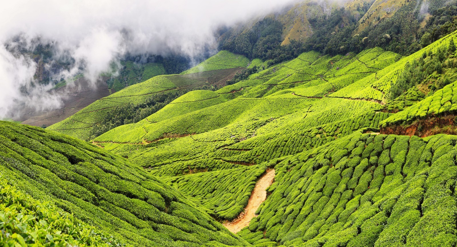 Joy of Kerala Tour  10 Nights - 11 Days